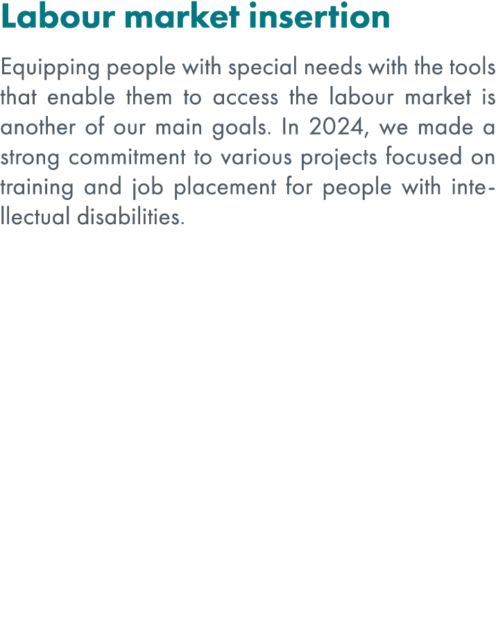 Labour market insertion Equipping people with special needs with the tools that enable them to access the labour mark...