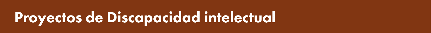  Proyectos de Discapacidad intelectual