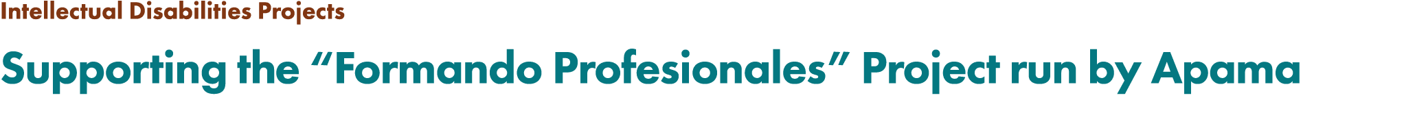 Intellectual Disabilities Projects Supporting the “Formando Profesionales” Project run by Apama