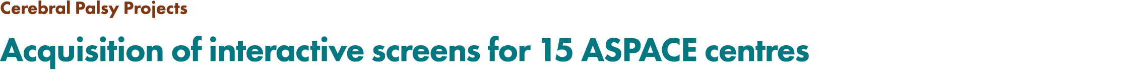 Cerebral Palsy Projects Acquisition of interactive screens for 15 ASPACE centres