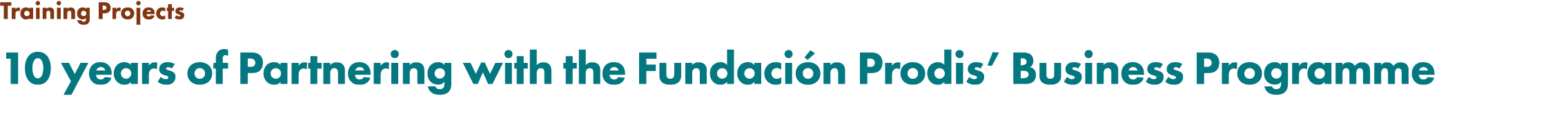 Training Projects 10 years of Partnering with the Fundaci n Prodis’ Business Programme