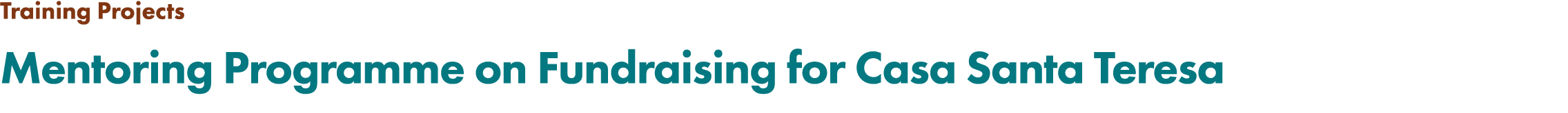 Training Projects Mentoring Programme on Fundraising for Casa Santa Teresa
