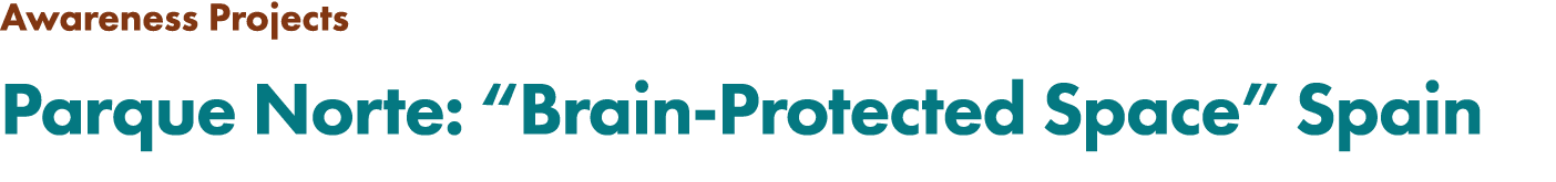 Awareness Projects Parque Norte: “Brain Protected Space” Spain