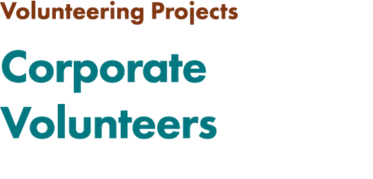 Volunteering Projects Corporate Volunteers