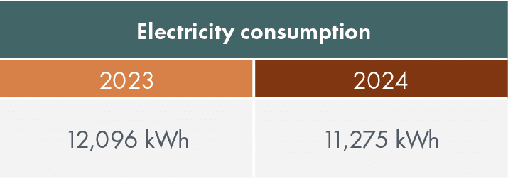 Electricity consumption,2023,2024,12,096 kWh,11,275 kWh