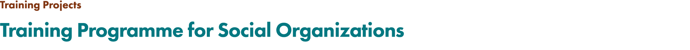 Training Projects Training Programme for Social Organizations