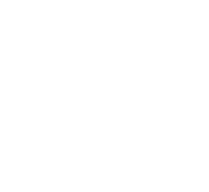 Key data Message from the President Mission Values and Principles Board of Trustees 2024 Targets achieved