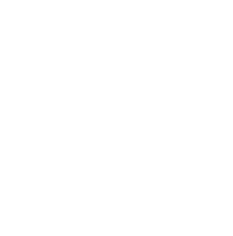 Intervention by the Foundation in Spain Lines of Action 2024 Projects on: Intellectual Disabilities Acquired Brain In...